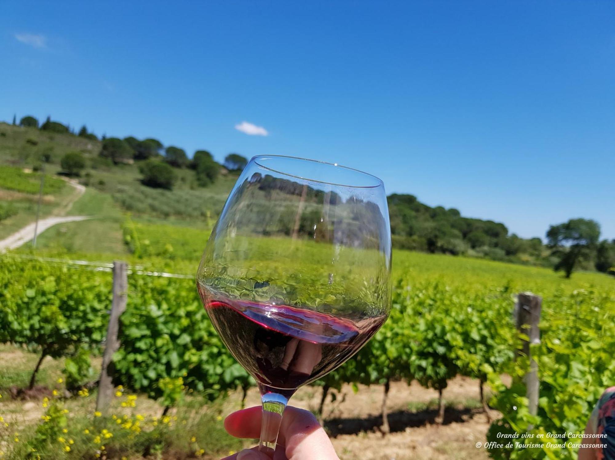 Chateau De Blomac Luaran gambar